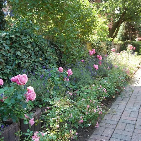 Schoenes-wohnen-am-suedstrand-fewo-1 Appartamento